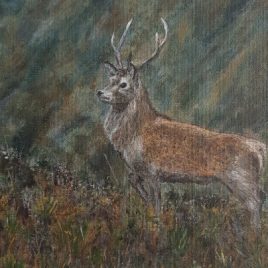 Painting of stag in Glencoe