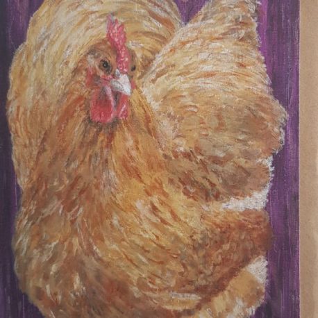 Buff Orpington chicken greetings card