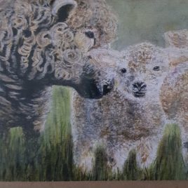 Part of sheep card focusing on ewe and one lamb