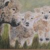 Greyfaced dartmoor ewe and lambs greetings card