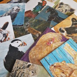 Selection of blank animal greetings cards