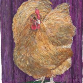 Buff orpington chicken print