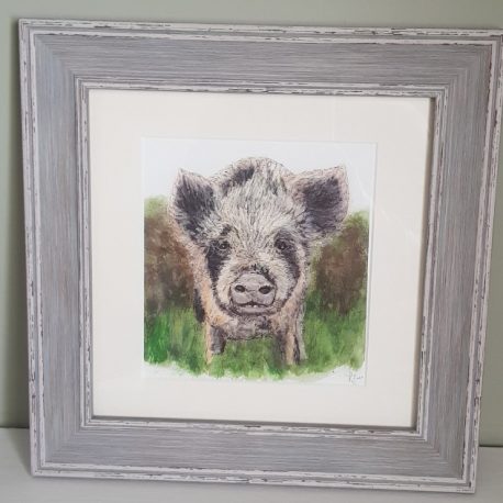 Framed pig print