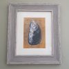 Framed mussel print