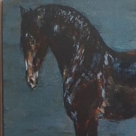 Close up of part of welsh cob horse card