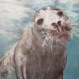 Close up of underwater seal print showing face