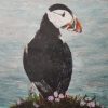 Puffin standing in sea thrift print