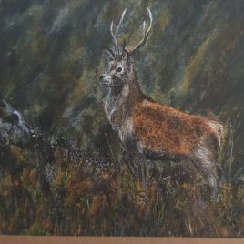 Close up of stag card