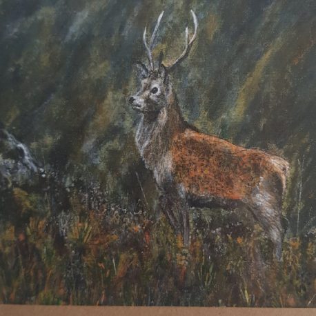 Close up of stag card