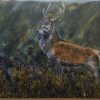 Stag in Glencoe card with brown envelope