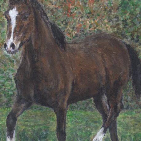 Esyllt pony of cob type greetings card